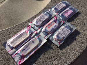 Preservativi gratis vs Fertility Day